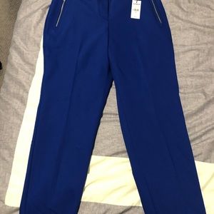 Express Dress Pants
